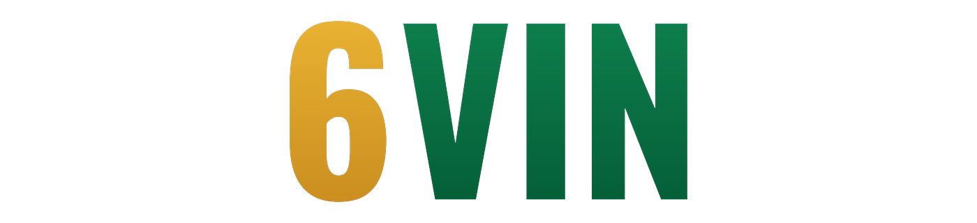 6vin